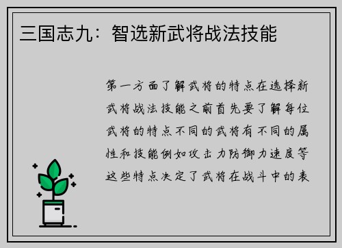 三国志九：智选新武将战法技能